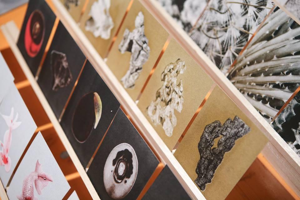 © Spyros Paloukis Wall with exhibited publications