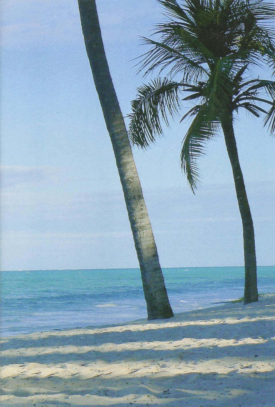 cover with seaside picture