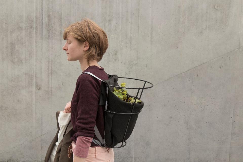 PlanteSorcières